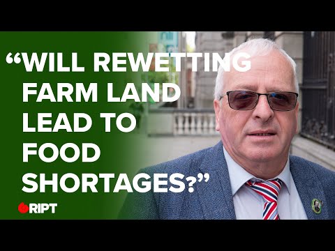 MATTIE MCGRATH: Will rewetting farm land lead to food shortages?