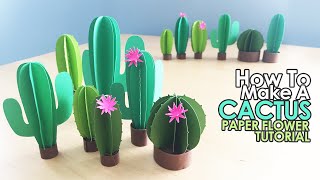 DIY Paper Cactus | How To Make A Cactus | Easy Paper Flower Tutorial