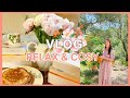 Vlog relax  cosy 