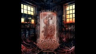 Purulence - Morphogen (Full Album)
