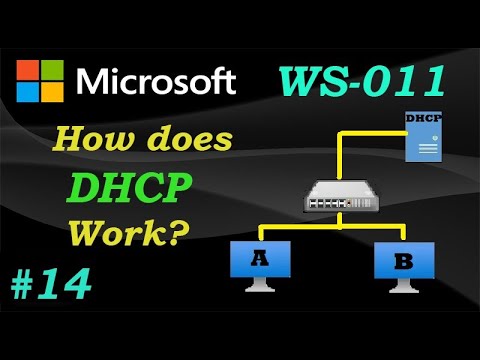 DHCP Explained (Step by Step Tutorial) | WS-011 | Ep14