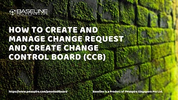 How to Create and Manage Change Request in Baseline PMO