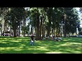 Middle of video
