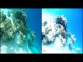 GoPro Hero4 vs CARCAM Excam one