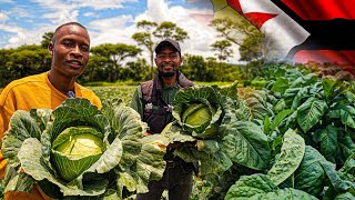 How His Company is Helping Diasporians to be Successful Farmers Back Home in Africa