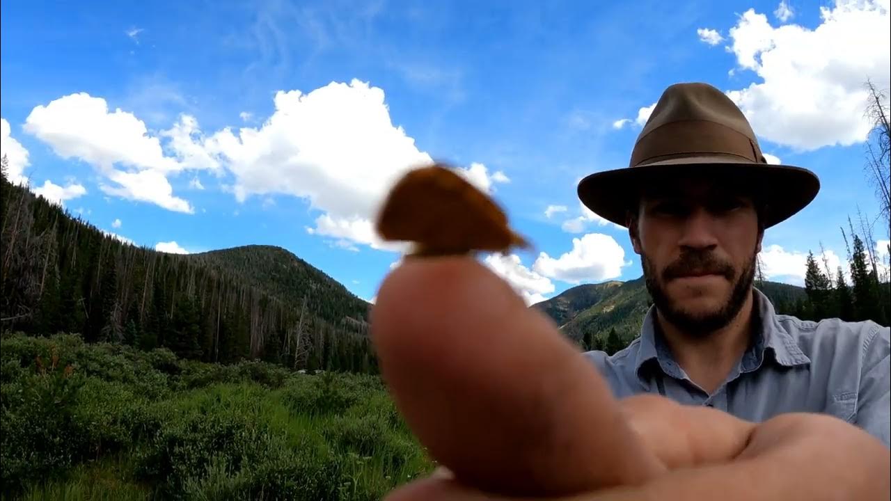 Gould Colorado Camping Trip 2022 YouTube