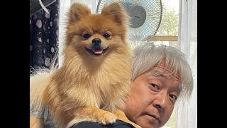 チップと一緒ライブ　８８８だよ！全員集合‼