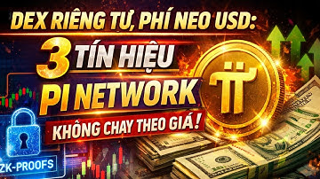 DEX Riêng Tư, Phí Neo USD: 3 Tín Hiệu Pi Network Không Chạy Theo Giá