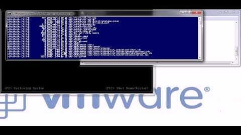 Enable SSH on a VMWare vSphere ESXi 4 without going into the Busybox console