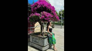 Muộn - Khanh Phạm cover