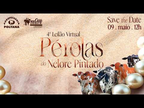 LOTE 16