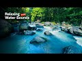 Deep Sleep with Forest River Sounds | Peaceful Nature Audio from a Calm Woodland Stream