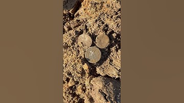 The Old Swimming Hole Part 4 Another Florin #neilcolston #metaldetecting @MinelabDetecting