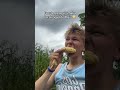 Syk opplevelse, rar farge #mais #norge #norskvideo