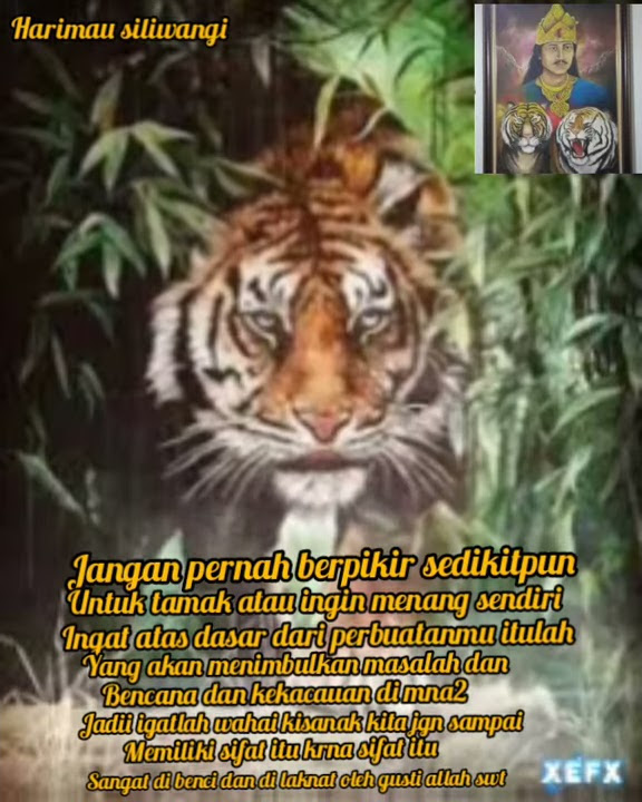 Story wa harimau siliwangi  pitutur keren terbaru versi lagu lir ilir keren 2021 💀💀💀