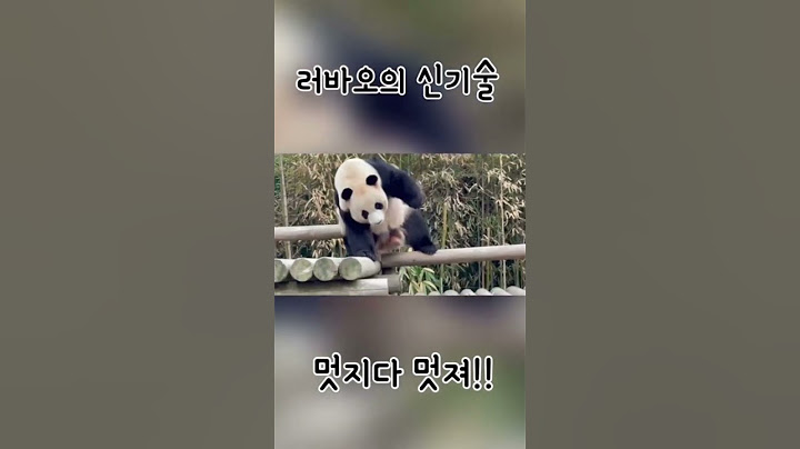 이 정도는 돼야 남자쥐, 러바오의 신기술 ㅋㅋ #shorts Panda Lebao