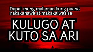 KULUGO AT KUTO SA ARI | Paano Nakakahawa At Makakaiwas? Alamin! KULUGO AT KUTO SA ARI | Paano Nakakahawa At Makakaiwas? Alamin!