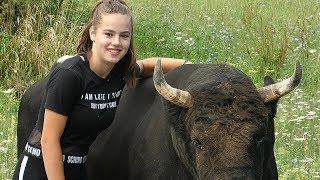 The best fitness trainer of bulls in Bosnia and Herzegovina