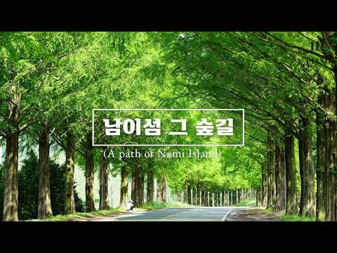 남이섬 그 숲길 (A path of Nami Island) (숲 길을 걸으며 듣고 싶은 음악) - 한나