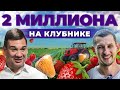 Сколько приносит ягода? Клубника, малина, смородина | Ягодный бизнес и риски | Андрей Даниленко