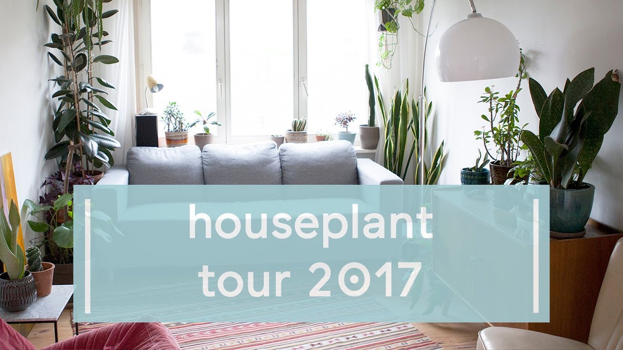 House Plant Tour Winter 2017 ♡ - Super Groene Vingers