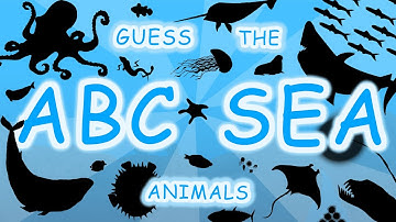 THE ABC SEA ANIMAL GUESSING GAME | SHADOW GAME FOR KIDS | ALPHABET