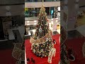 Oh Christmas Tree