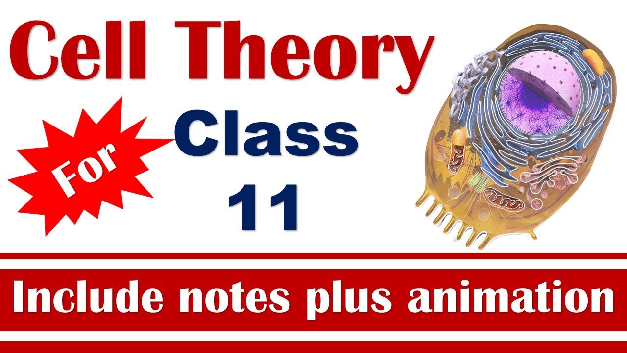 Cell Theory (Main principles and exceptions) History of cells Cell