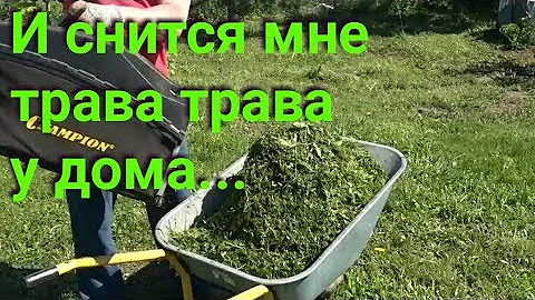 Мульчирование скошенной травой.  Польза или вред?