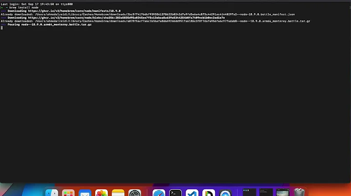 Nodejs : Download nodes with npm and npx