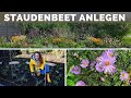 Staudenbeet anlegen - Blumen Beet insektenfreundlich gestalten - Stauden - Blumenbeet - Tipps Ideen