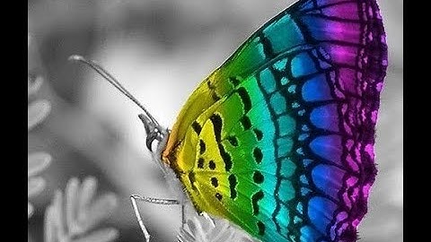 20210525 Ch9 One & Two Sample Estimation Problems Part#1