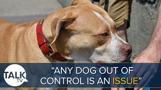 "Any Dog Out Of Control In Public Is An Issue" | Dog Behaviourist On XL Bully Ban