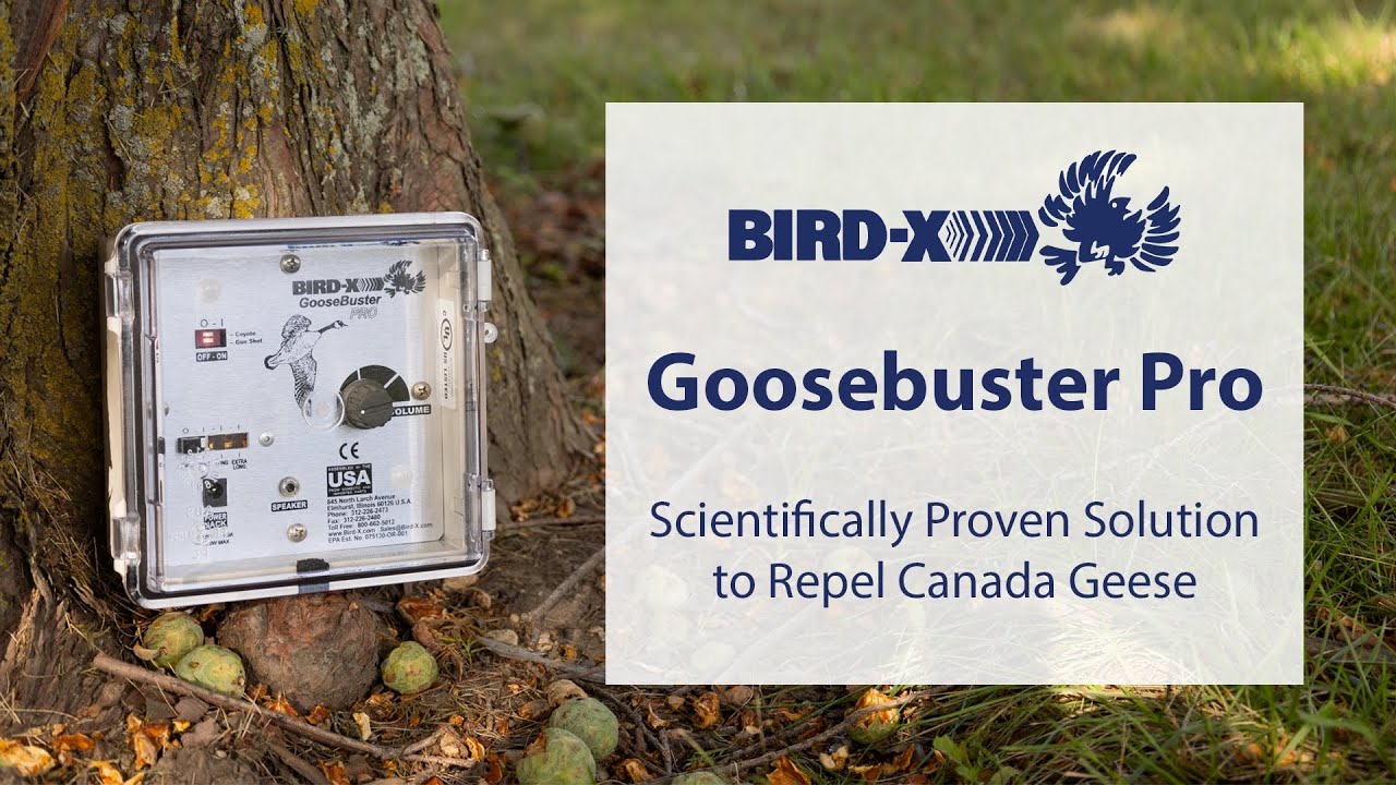 GooseBuster PRO: The Science-Based Solution for Canada Geese Control ...