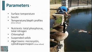 Volunteer Monitoring: Lake Monitoring