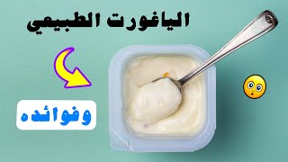 ما هو الياغورت الطبيعي ؟ وما هي فوائده ؟