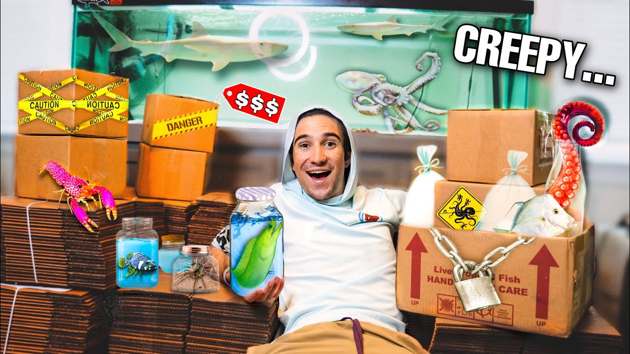 dark web fish mystery box Web: DVD – Nightmare Toys 6 Awesome baits from top brands around the world Exploring Mystery Fish Boxes from
