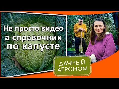 Видео: Что из нижеперечисленного является устойчивым к болезням сортом капусты?