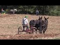 Brush Creek Plow Day