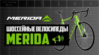 Шоссейные велосипеды MERIDA. Scultura, Endurance, Reacto, Silex, Mission, Time Warp / ПРО [БРЕНДЫ]