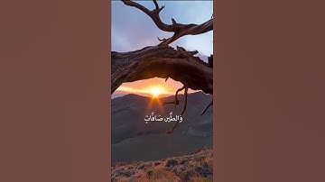 تلاوة مختار الحاج برناوي .من سورة النور