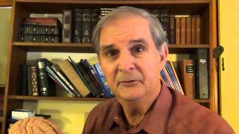 How the Brain Works: Dreams and Memory Processing, Video 18 of 20