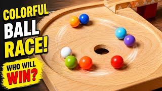 Epic Marble Vortex Race! 🌀 Who Will Fall First | Oddly Satisfying ASMR
