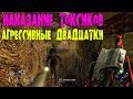 НАКАЗАНИЕ ТОКСИКОВ АГРЕССИВНЫЕ 20-ки DEAD BY DAYLIGHT