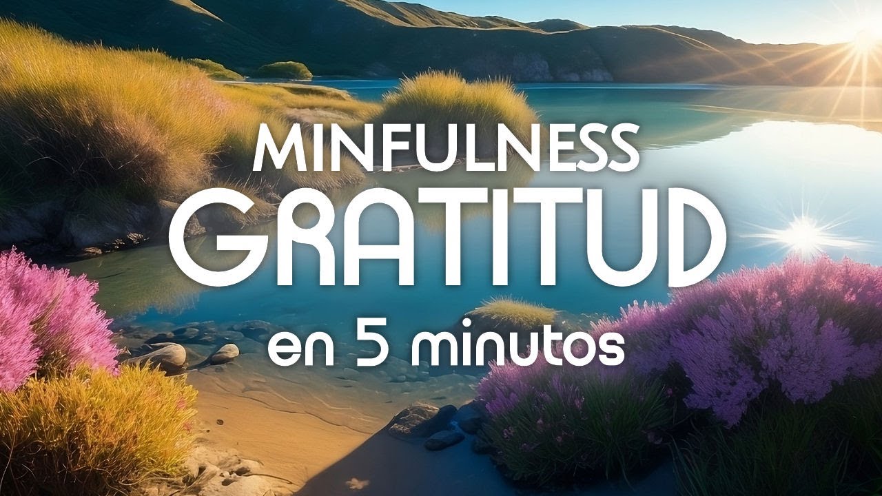 🙌🏻 MEDITACIÓN de la GRATITUD 🙏🏻 MINDFULNESS para agradecer 🌄 - YouTube