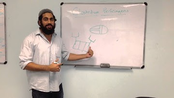 How to Remember Clostridium Perfringens