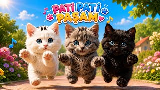 🐱 Pati Pati Paşam 🐾 Sevimli Kedi Şarkısı 😻 Çocuk Şarkıları Bebek Şarkıları Eğitici Animasyon