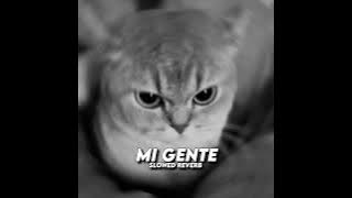 DJ Mi Gente Bootleg Slowed - Viral TikTok 2025 (SMXXL x QUEEN FIRA)