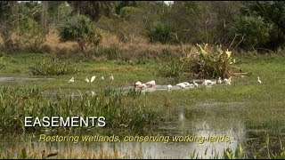 NRCS Florida