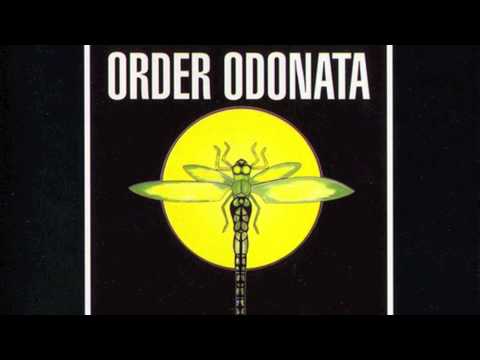 Order Odonata Vol. 1 - YouTube